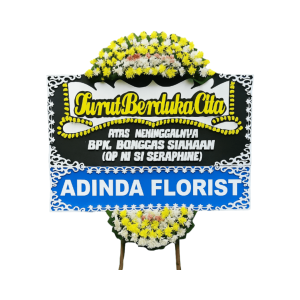 import placeholder for 1242