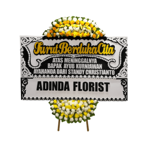 import placeholder for 1240 import placeholder for 1240