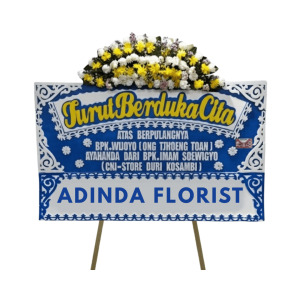 import placeholder for 1236