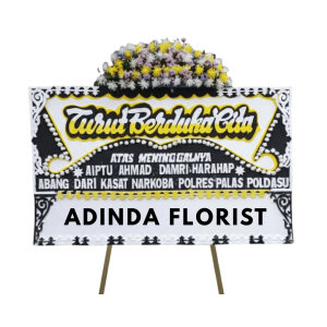 import placeholder for 1232